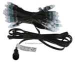 PRODUCT PHOTO: PRE-SALE: Smart / Pixel RGB LED Node 8mm/12mm / 5v / 2811 / 50 Node String / 3" Spacing / Black / 10ft EasyPlug3 / xConnect/xConnect Input Cable (Ships Jan to June 2022)